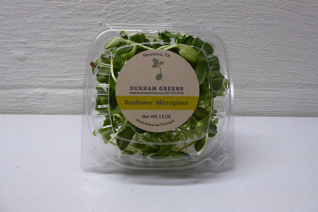 Sunflower Microgreens - 1.5 oz